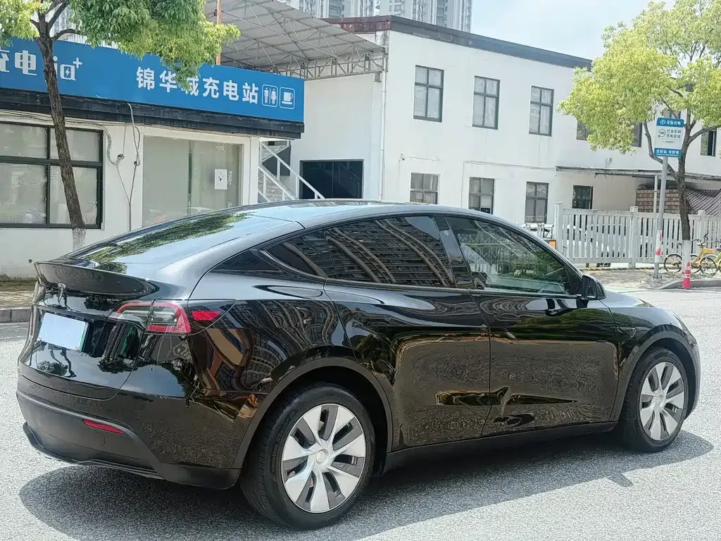 Tesla Model Y — фото 10
