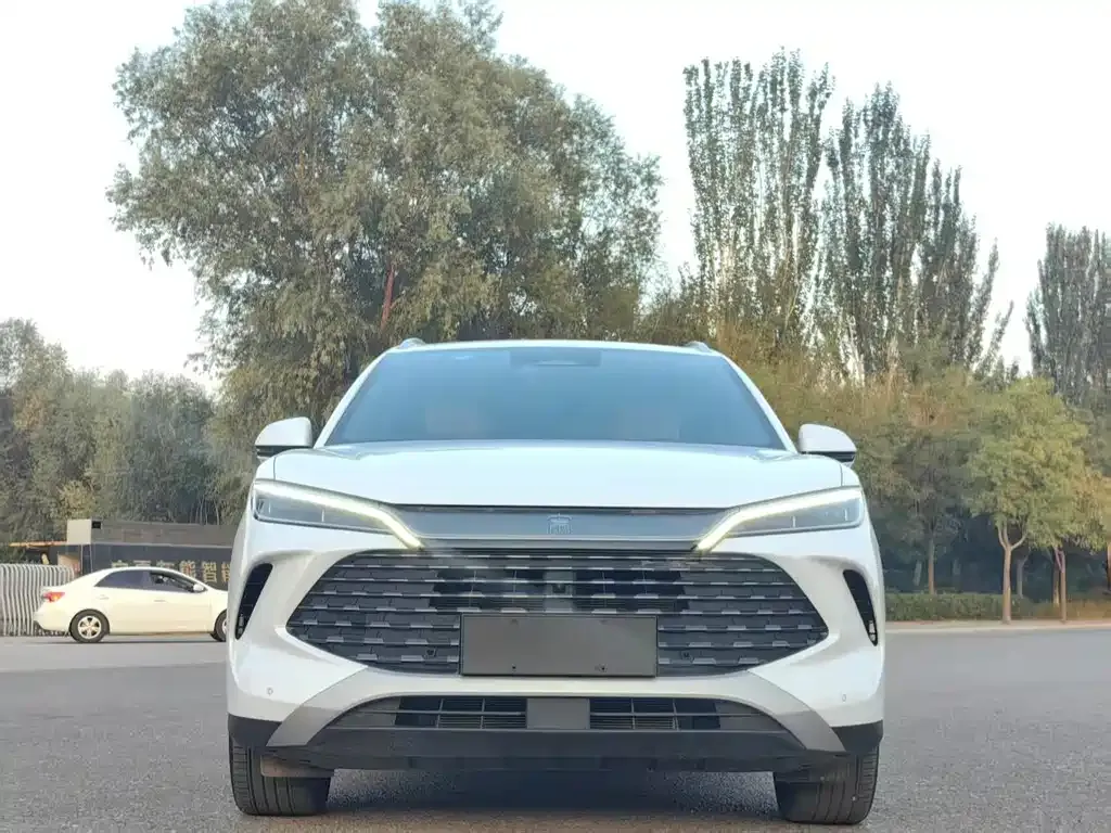 BYD L DM-i