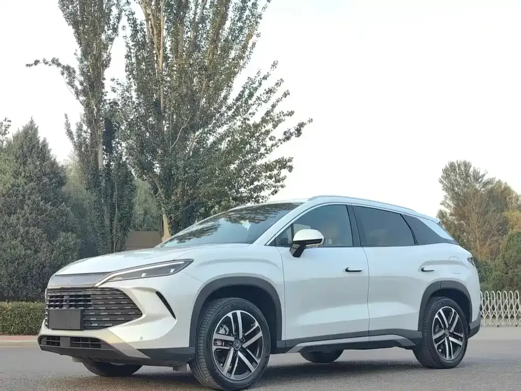 BYD L DM-i 2024 из CN, фото 2
