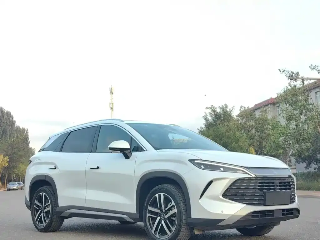 BYD L DM-i 2024 из CN, фото 6