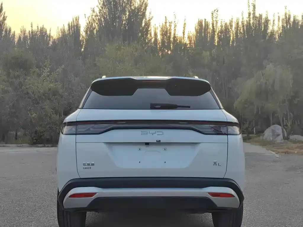 BYD L DM-i 2024 из CN, фото 8