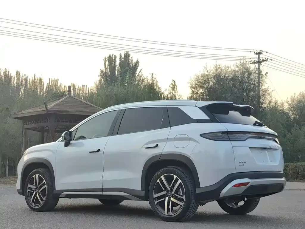 BYD L DM-i 2024 из CN, фото 9
