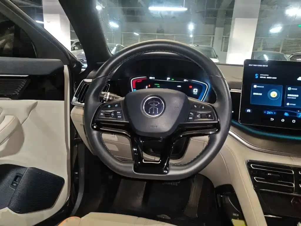BYD PLUS New Energy — фото 4