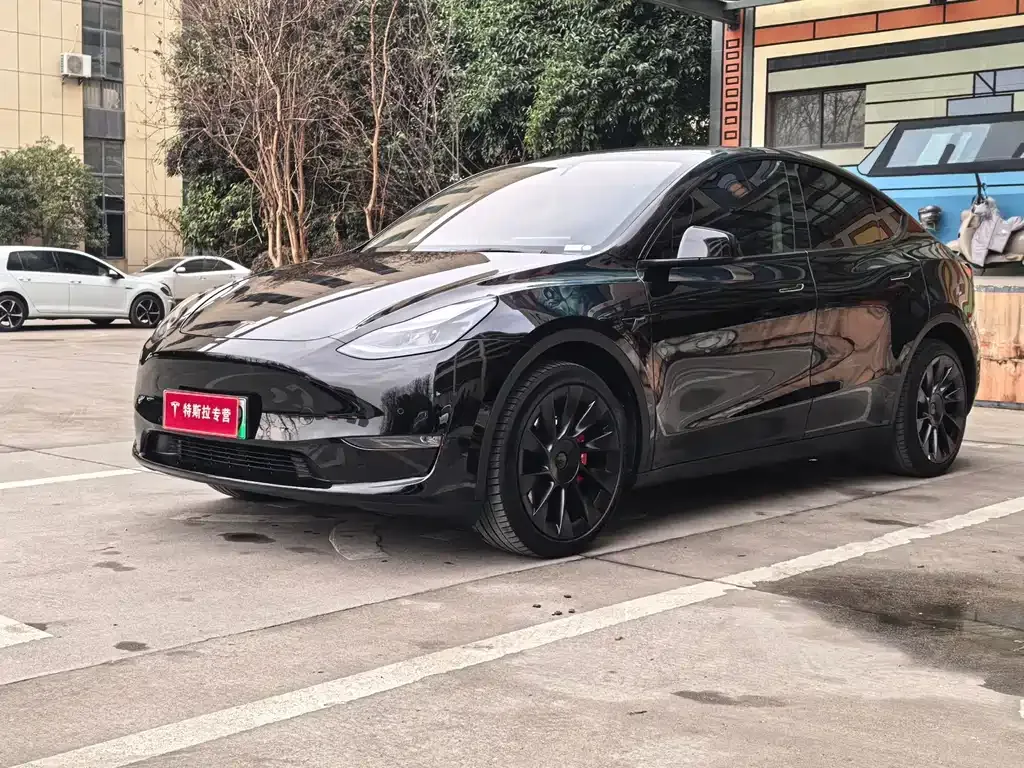 Tesla Model Y — фото 1