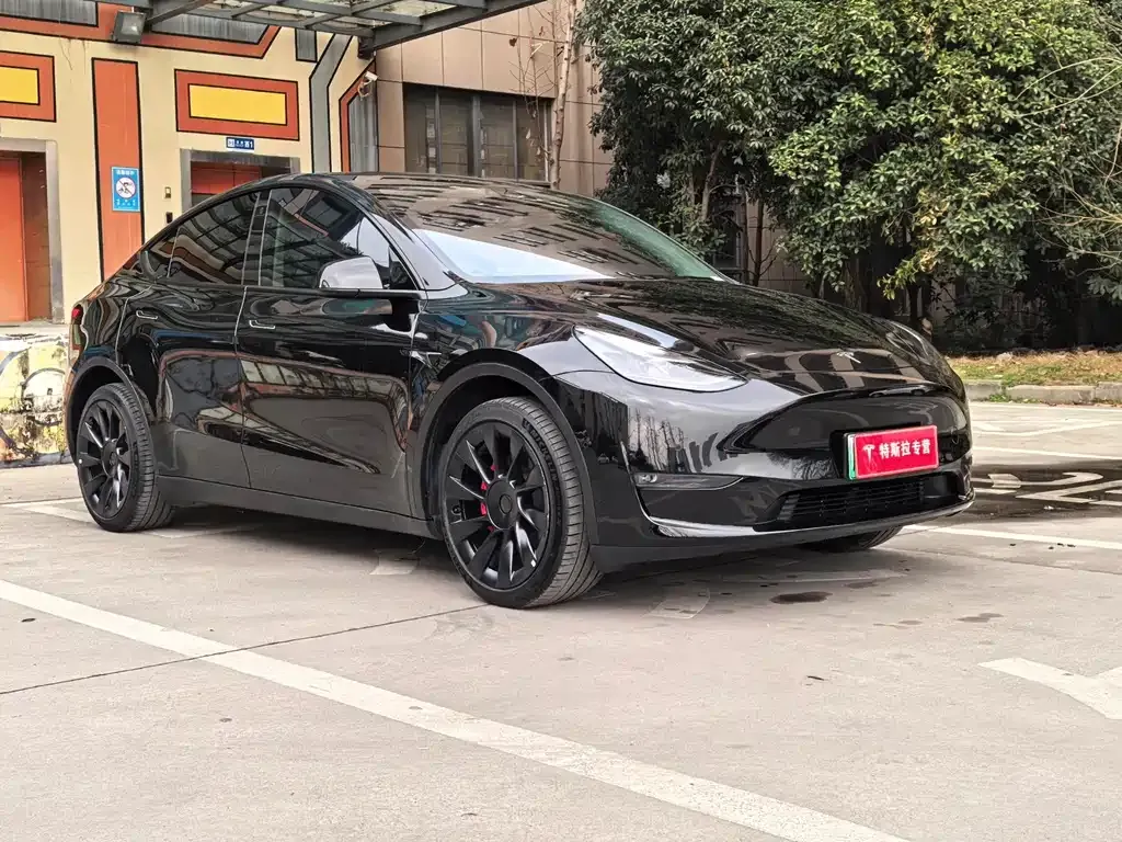 Tesla Model Y — фото 10