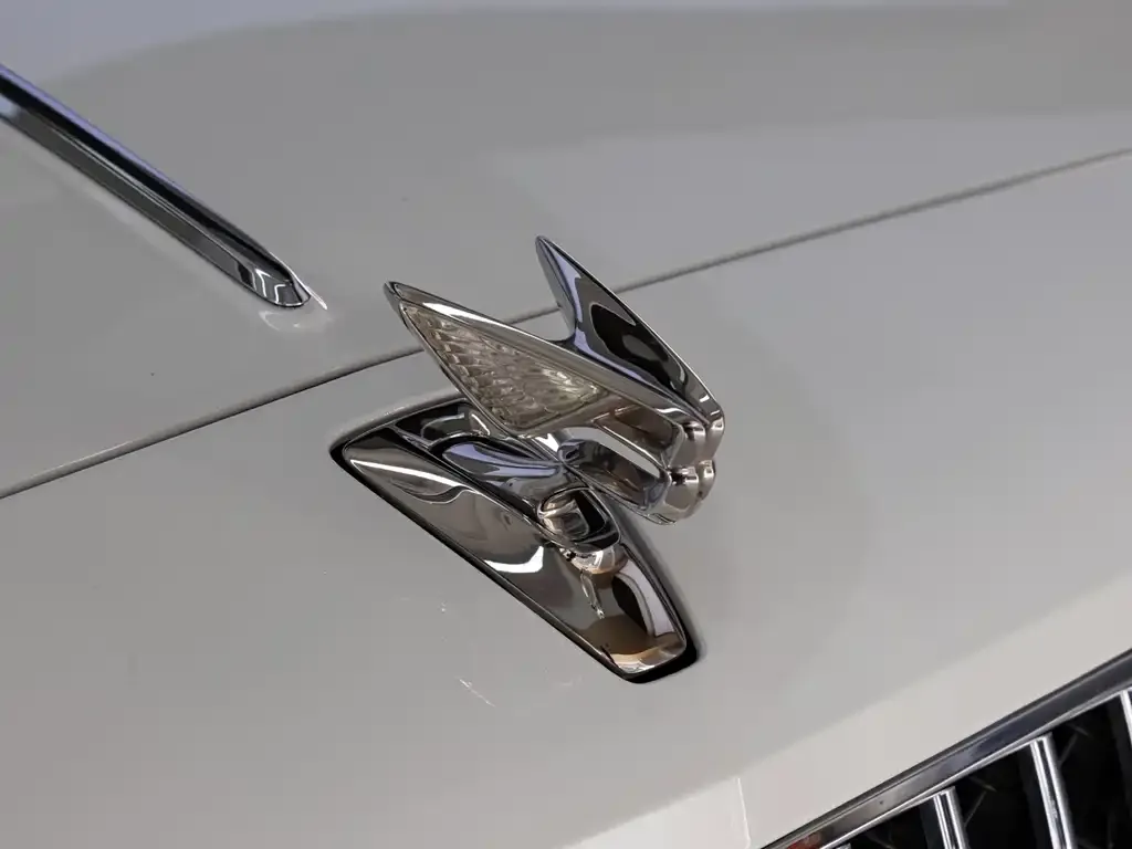 Bentley Flying Spur PHEV — фото 10