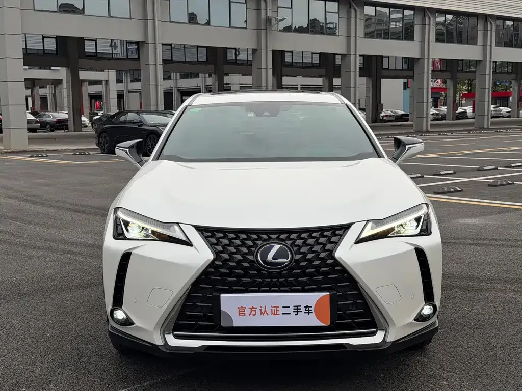 Lexus UX New Energy — фото 5