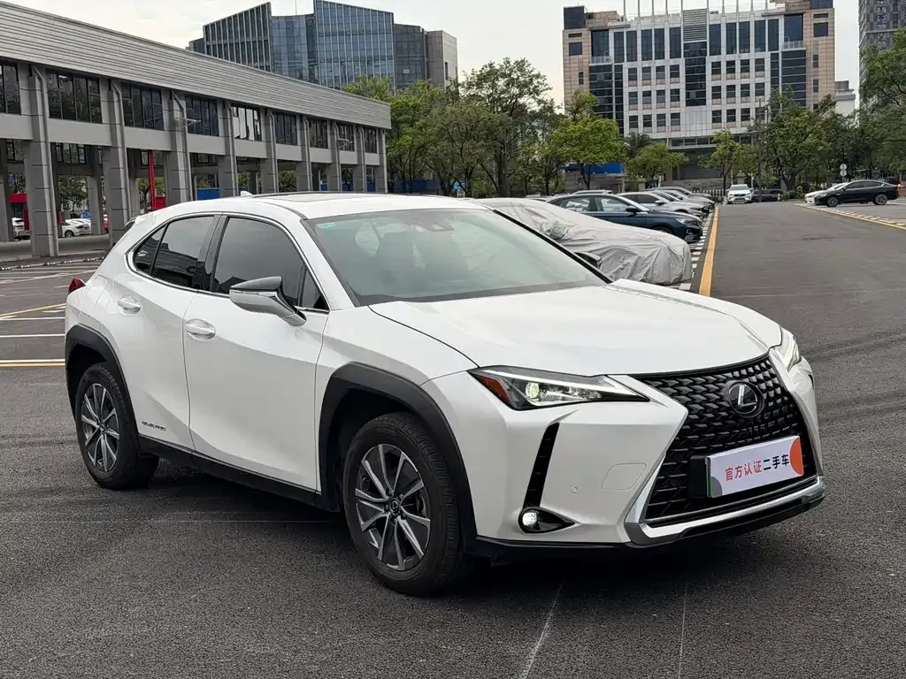Lexus UX New Energy — фото 10