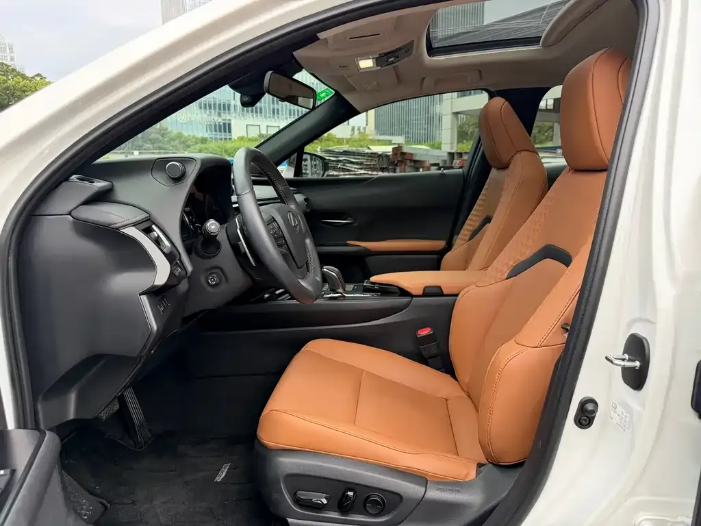 Lexus UX New Energy — фото 6