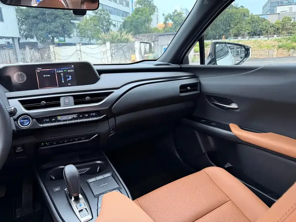 Lexus UX New Energy — фото 9