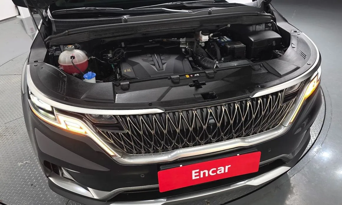Kia Carnival — фото 10
