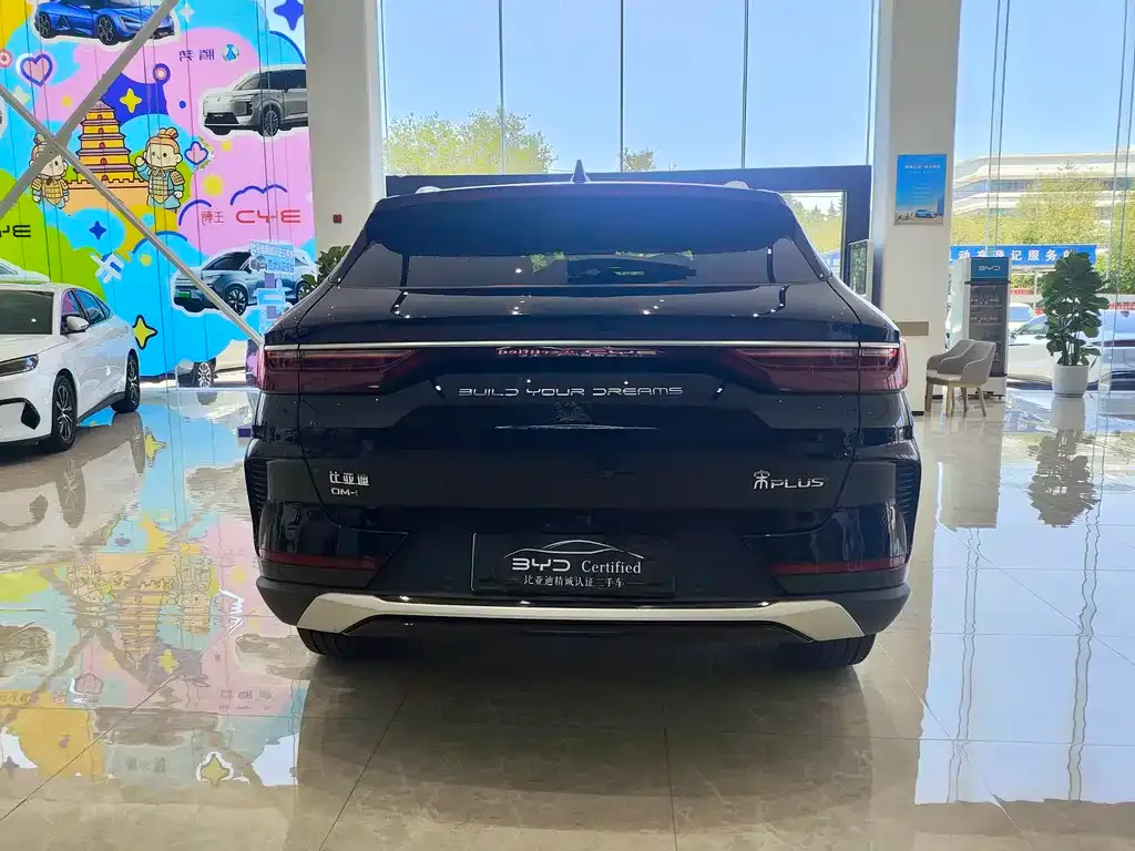BYD PLUS New Energy — фото 6