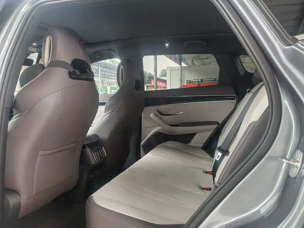BYD PLUS New Energy — фото 10