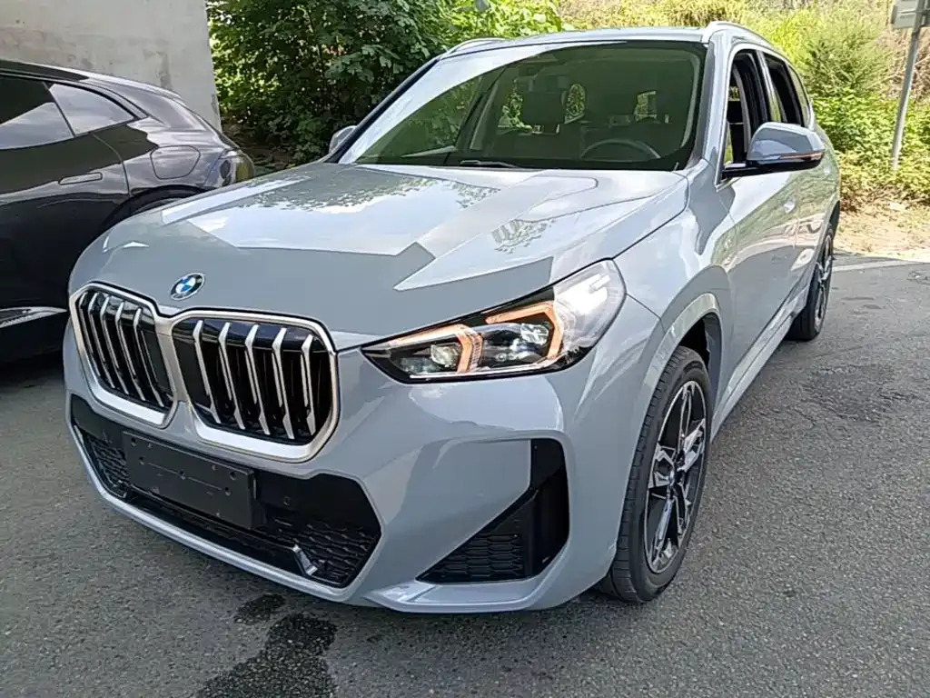 BMW X1 — фото 1