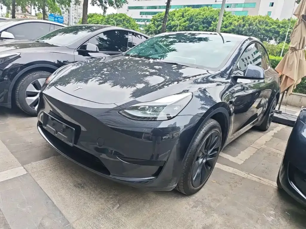 Tesla Model Y — фото 10