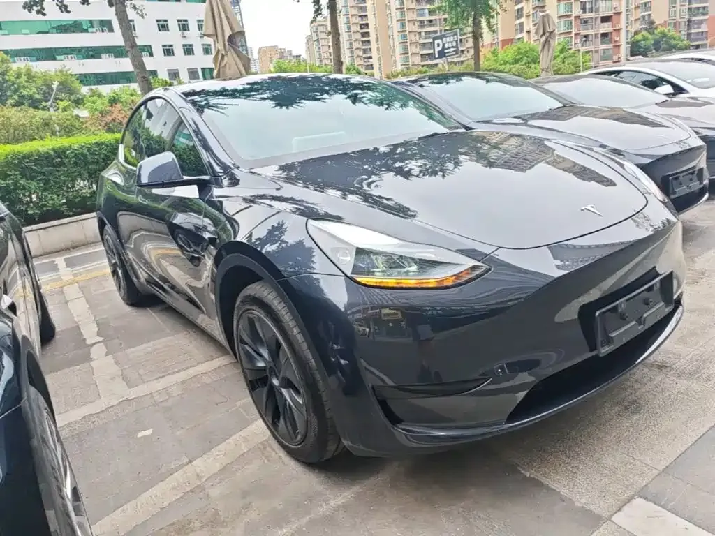 Tesla Model Y — фото 9