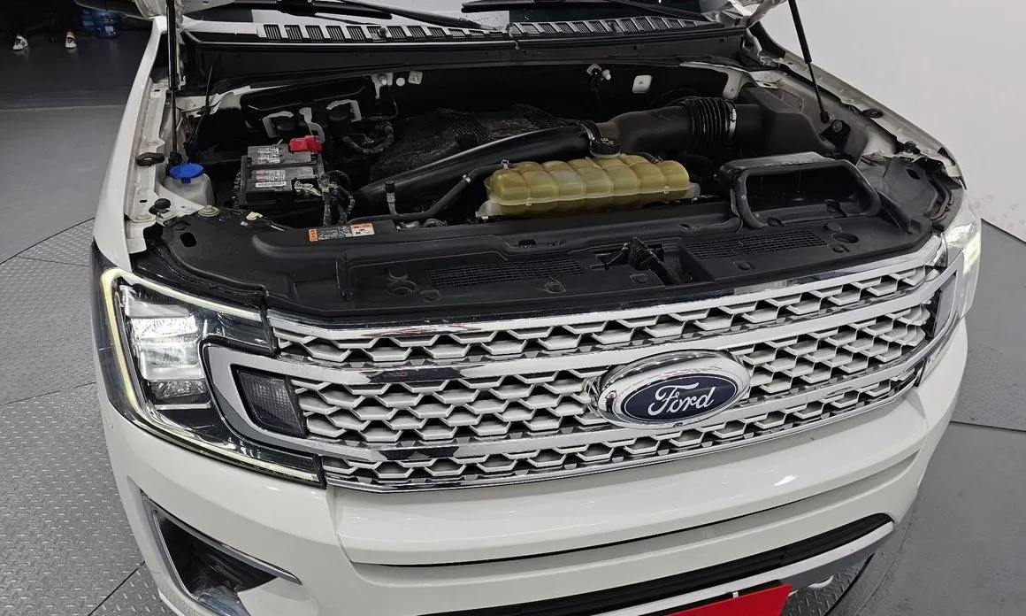 Ford Expedition 2021 из KR, фото 5