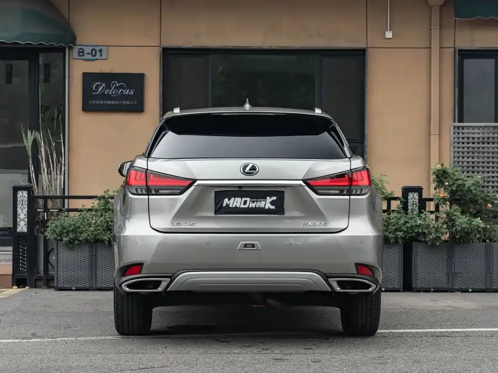Lexus RX — фото 7