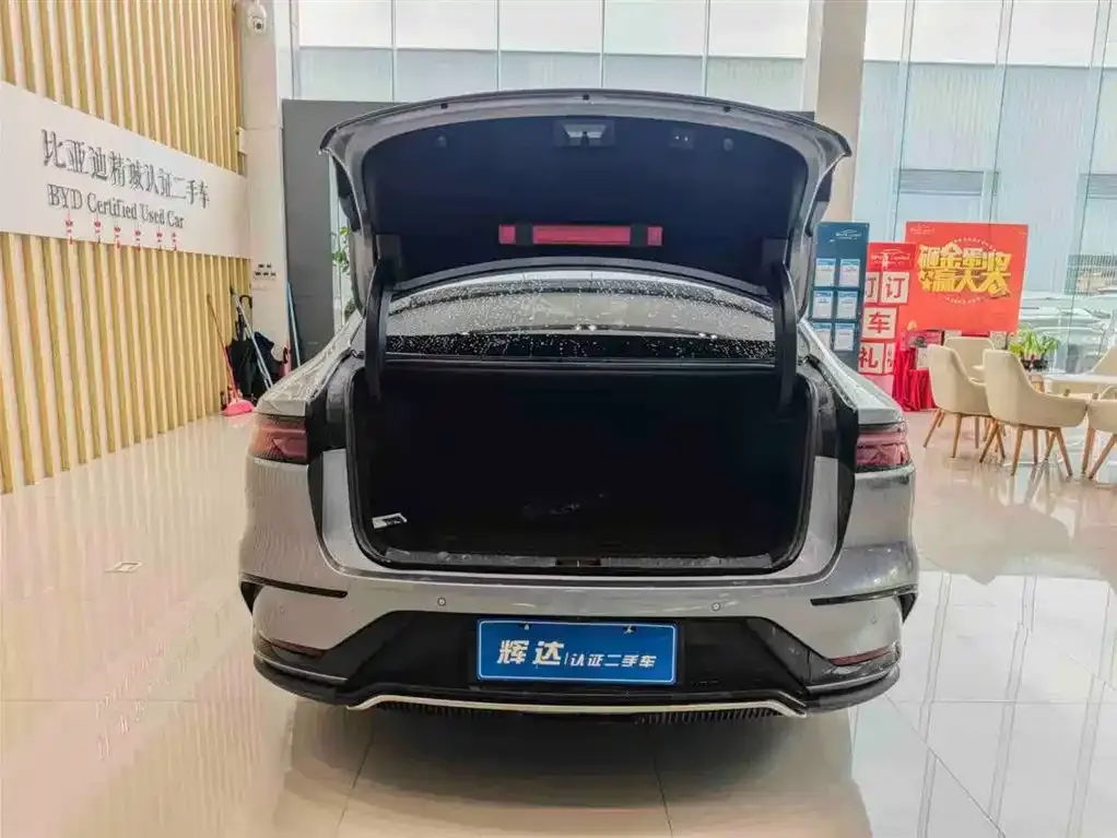 BYD Han — фото 10