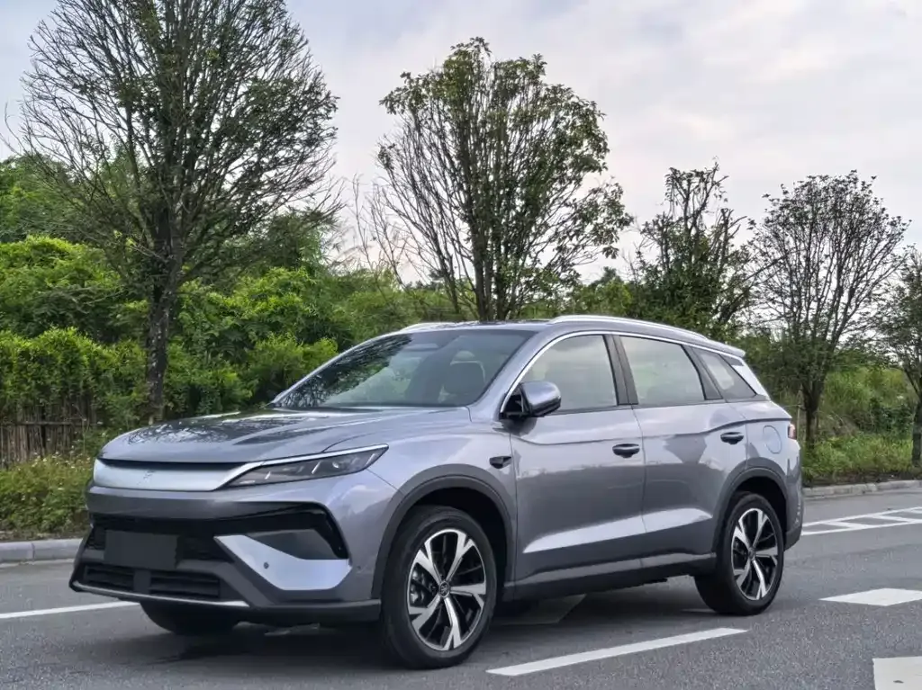 BYD Pro New Energy — фото 1