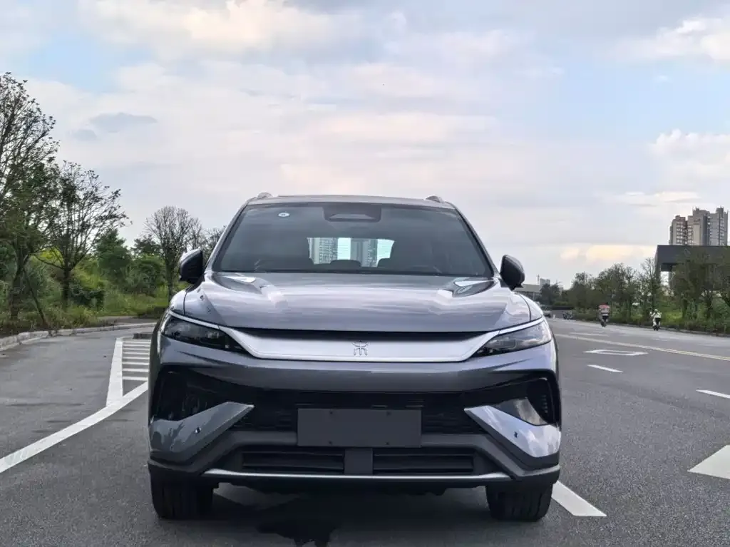 BYD Pro New Energy — фото 6