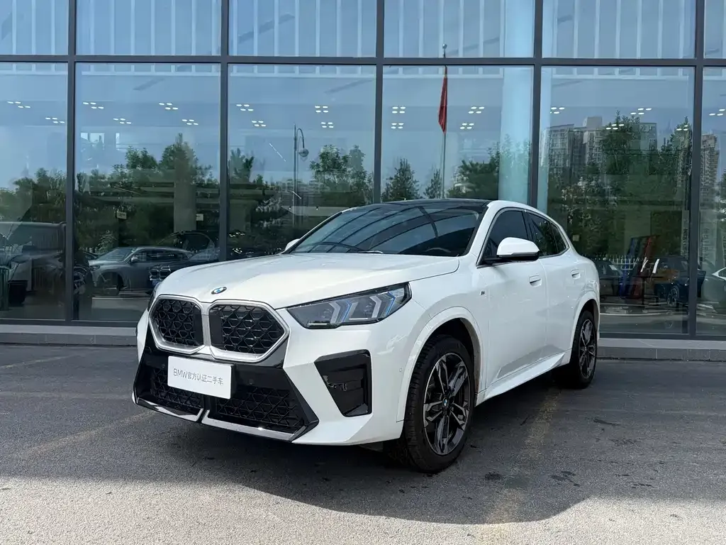 BMW X2 (Import) — фото 1
