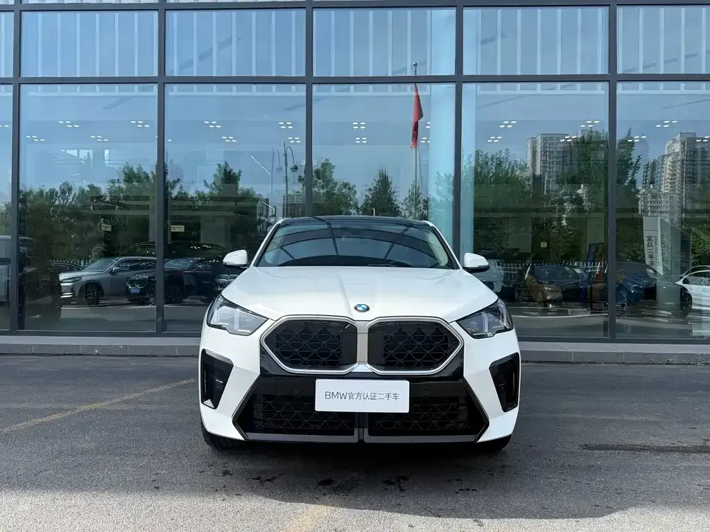 BMW X2 (Import) — фото 5