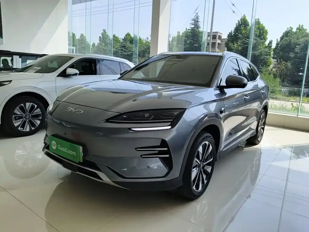 BYD PLUS New Energy — фото 6