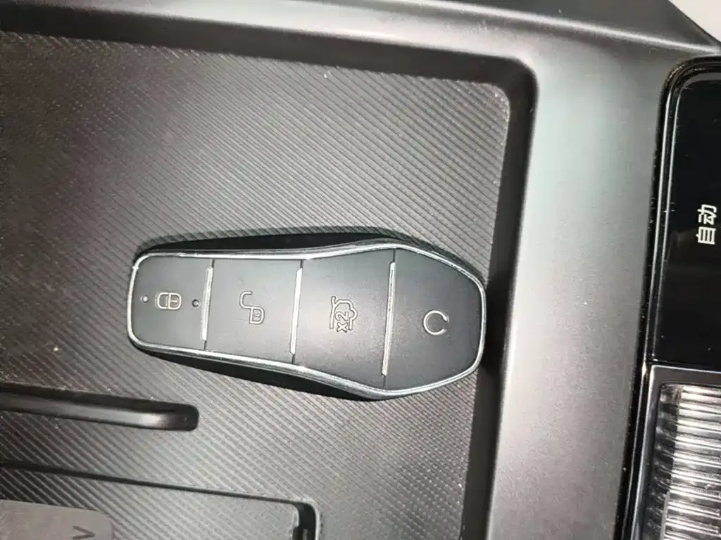 BYD PLUS New Energy — фото 10