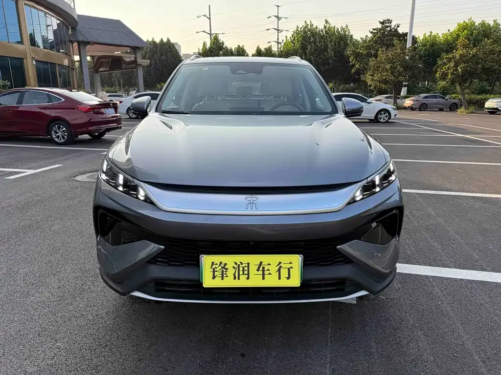 BYD Pro New Energy — фото 8