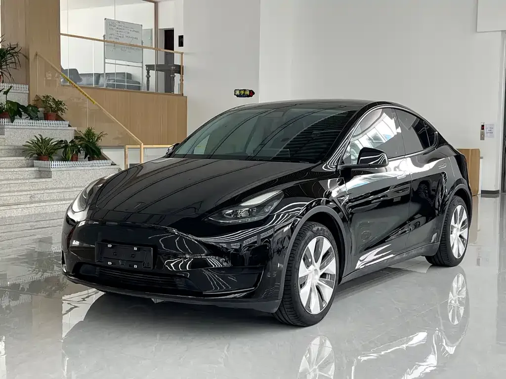 Tesla Model Y — фото 1