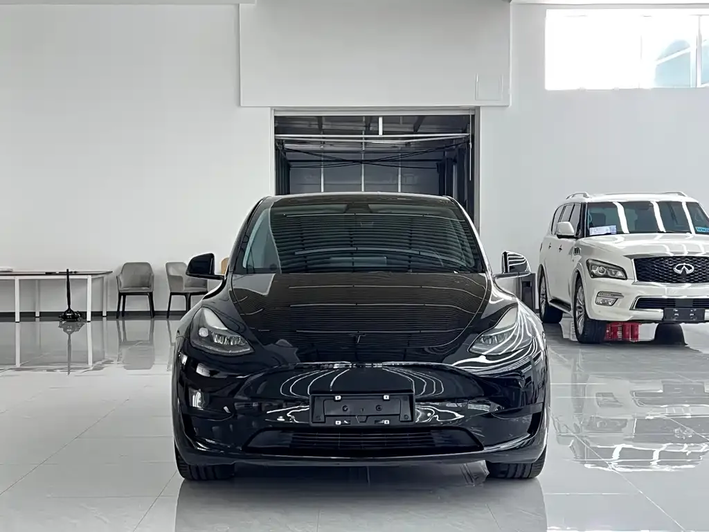 Tesla Model Y — фото 5
