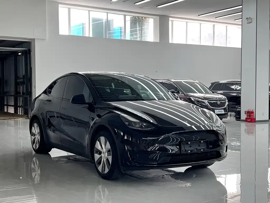 Tesla Model Y — фото 9