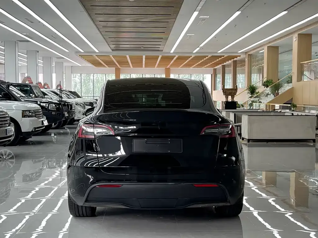 Tesla Model Y — фото 10