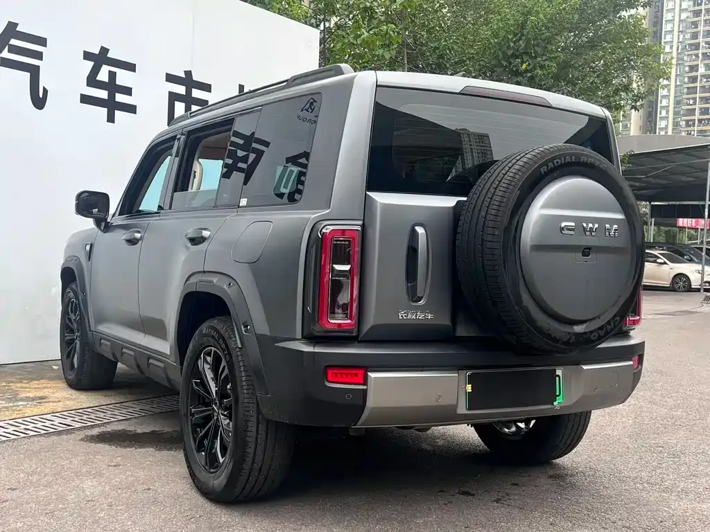 Haval Menglong New Energy 2026 из CN, фото 5