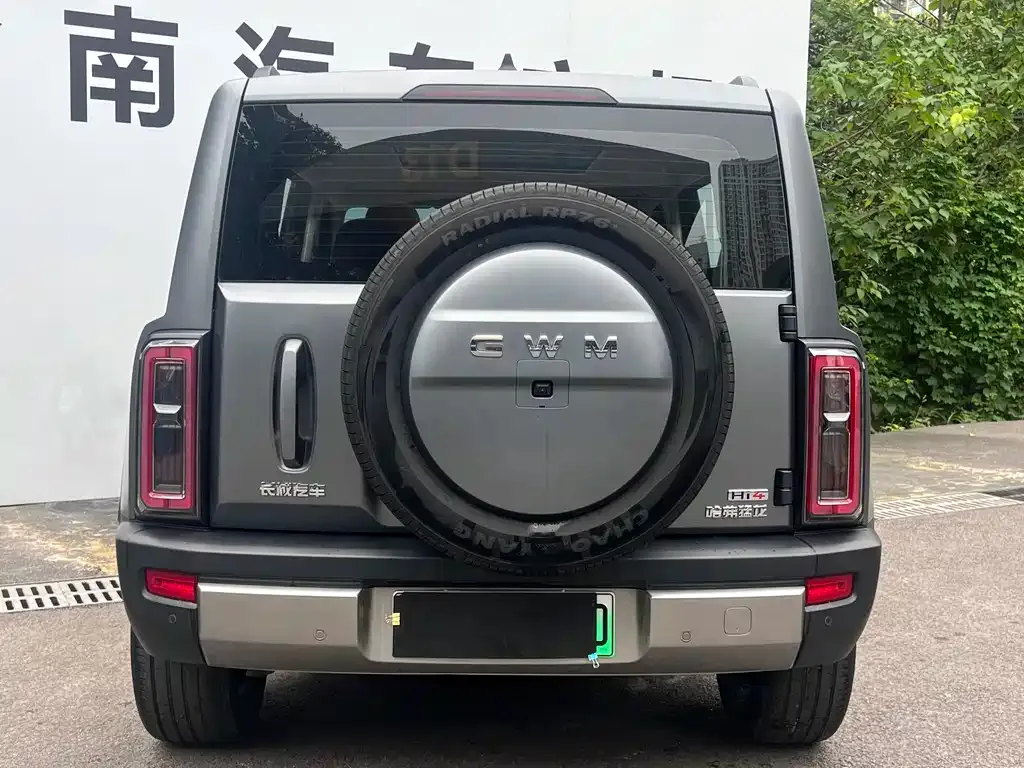 Haval Menglong New Energy 2026 из CN, фото 3