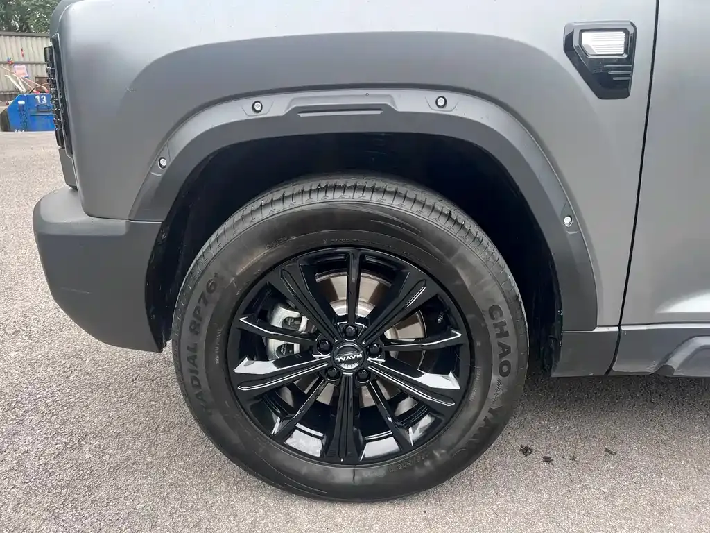 Haval Menglong New Energy 2026 из CN, фото 6