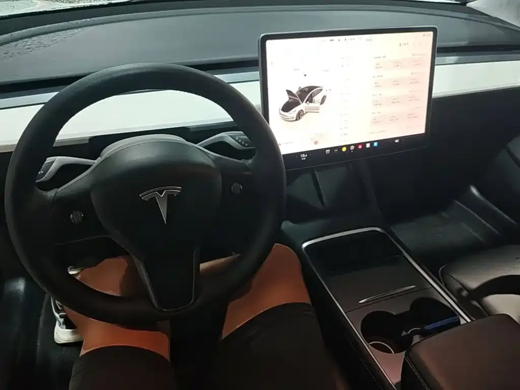 Tesla Model 3 — фото 2