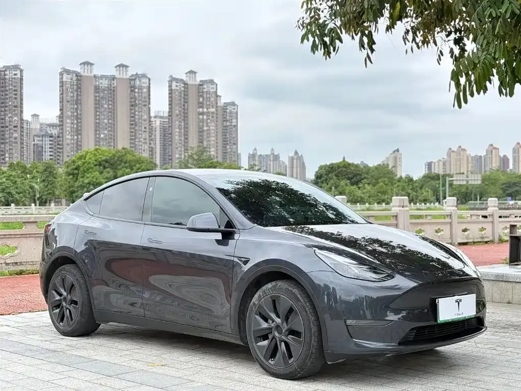 Tesla Model Y — фото 6