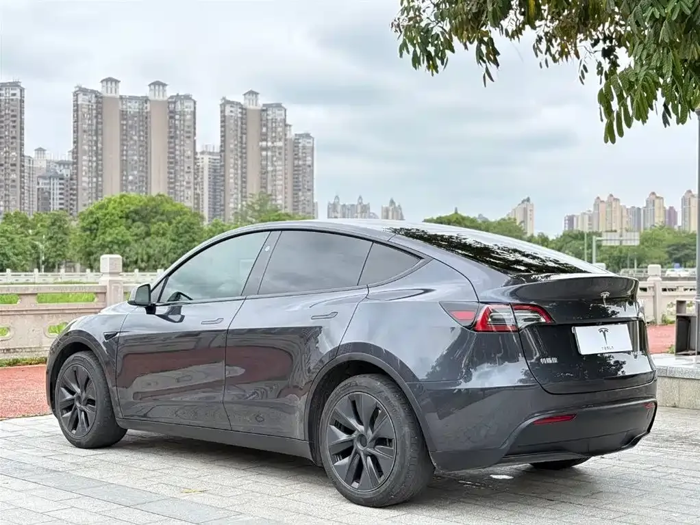 Tesla Model Y — фото 8