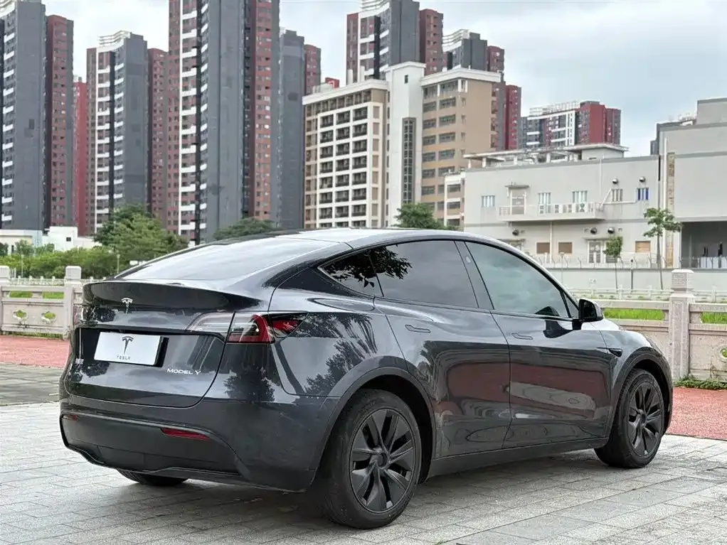 Tesla Model Y — фото 9
