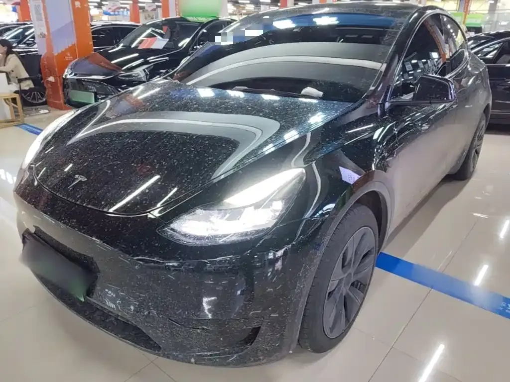 Tesla Model Y — фото 1