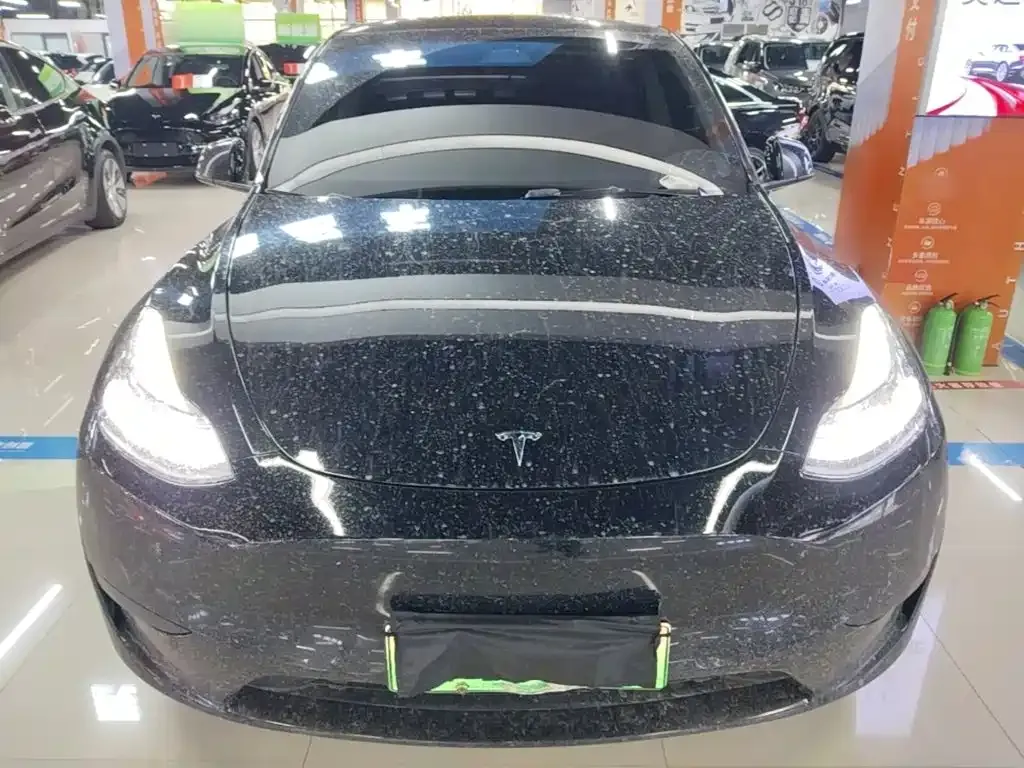 Tesla Model Y — фото 9