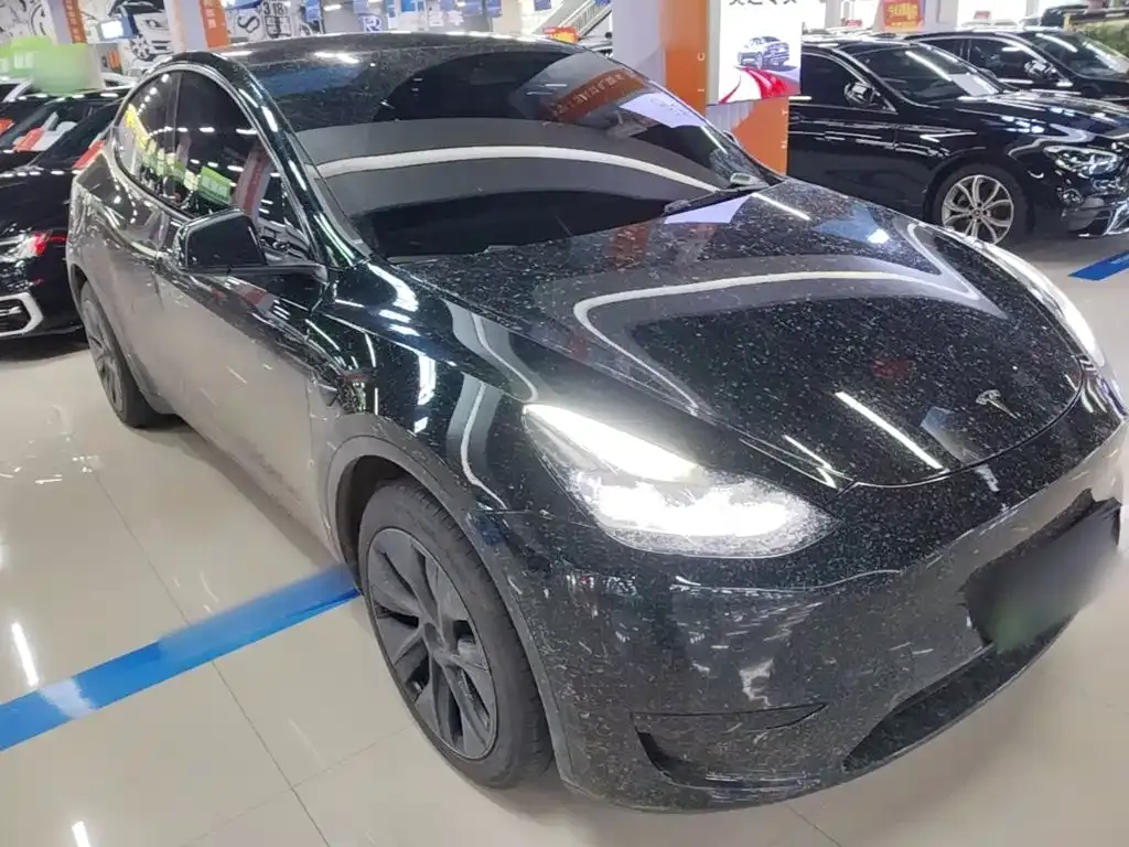 Tesla Model Y — фото 10