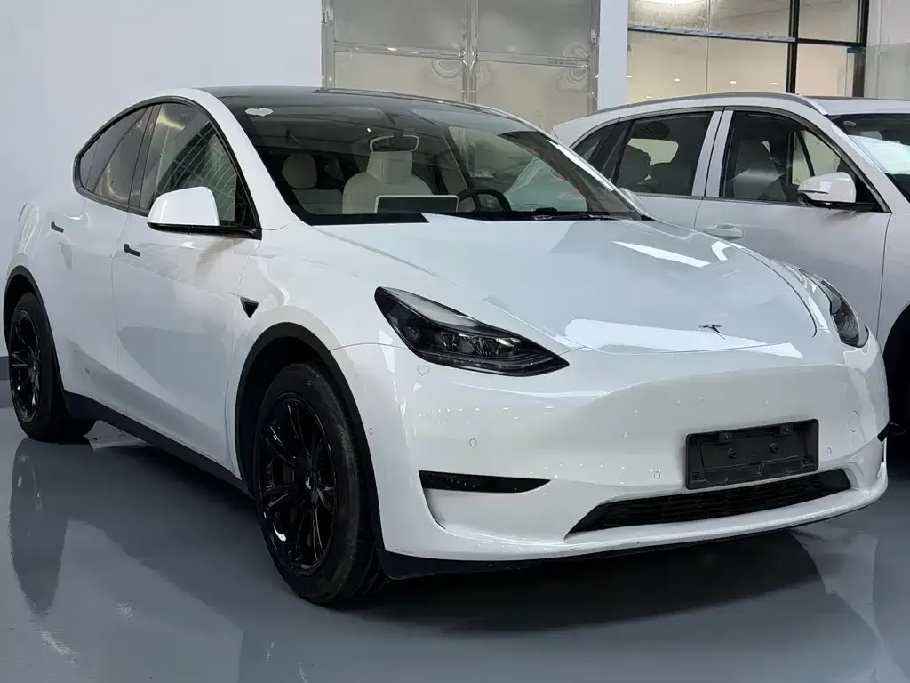 Tesla Model Y — фото 5