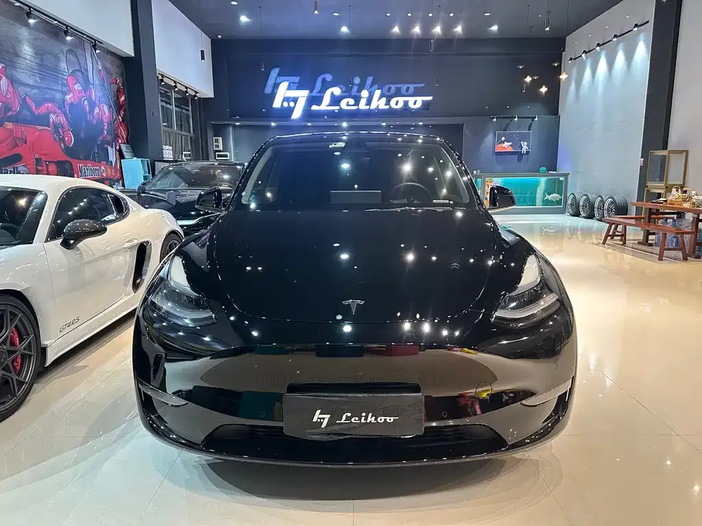 Tesla Model Y — фото 10