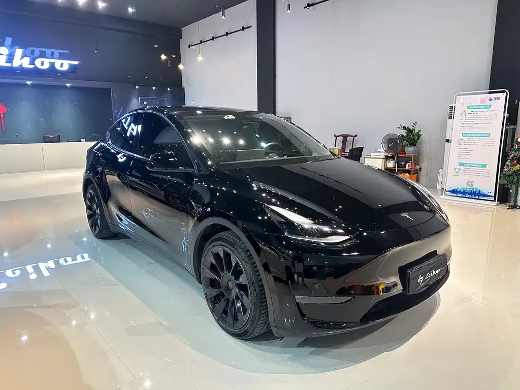 Tesla Model Y — фото 2