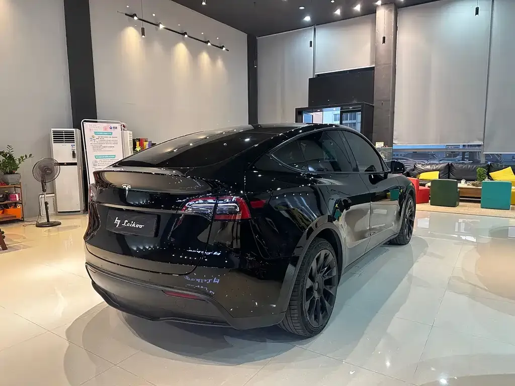 Tesla Model Y — фото 9