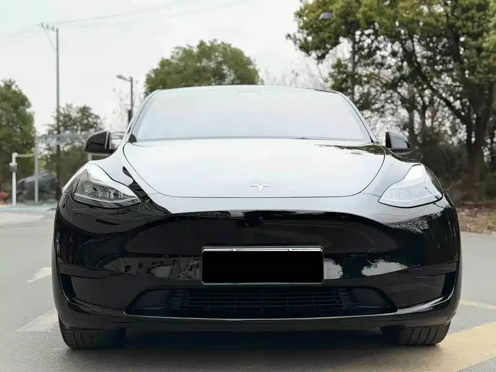 Tesla Model Y — фото 2