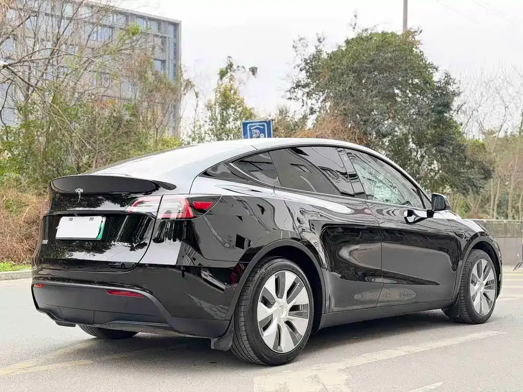 Tesla Model Y — фото 6